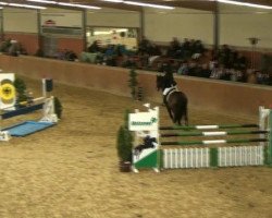 jumper Lorenzo L 2 (Hessian Warmblood, 1993, from Lordon)