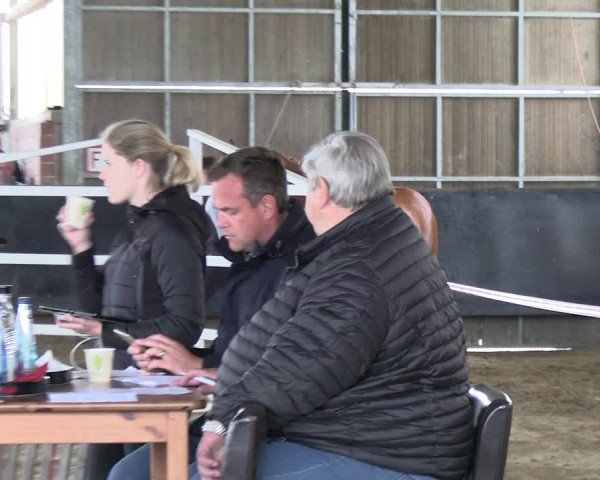 Stutenleistungsprüfung in Soest 2022