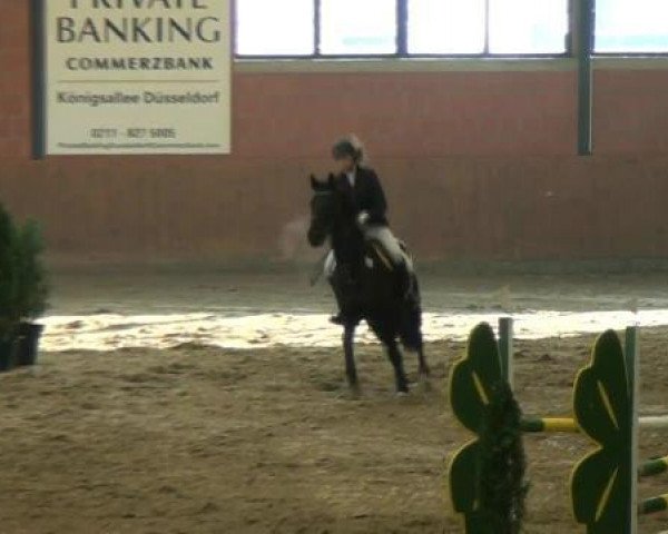 broodmare Porussia (Rhinelander, 2004, from Potsdam)