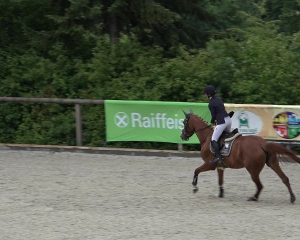 Reitturnier Erkrath - Uhlenhof 2022