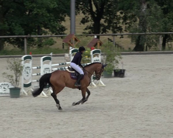 Reitturnier Erkrath - Uhlenhof 2022
