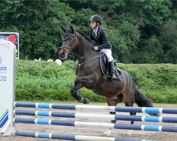 broodmare Tara II (Connemara Pony, 2002, from Frederiksminde Hazy Marvel 8 C)