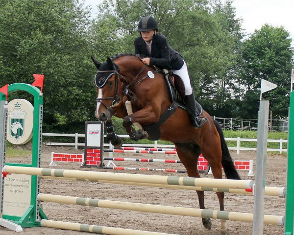 jumper Crazy Love M (Oldenburg, 2016, from Carleyle)