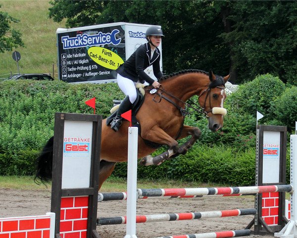 horse Gality (Zangersheide riding horse, 2011, from Gaillard de La Pomme)