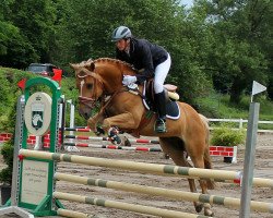 jumper Golden Boy 177 (unknown, 2015)