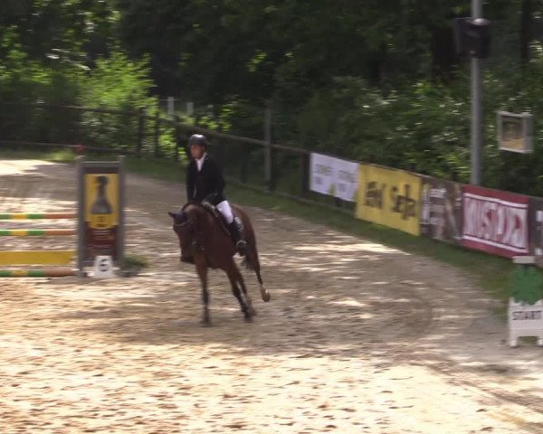 Reitturnier Reken 2022