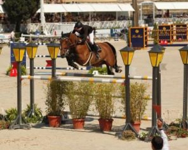 Springpferd Nayana (Selle Français, 2001, von Royal Feu)