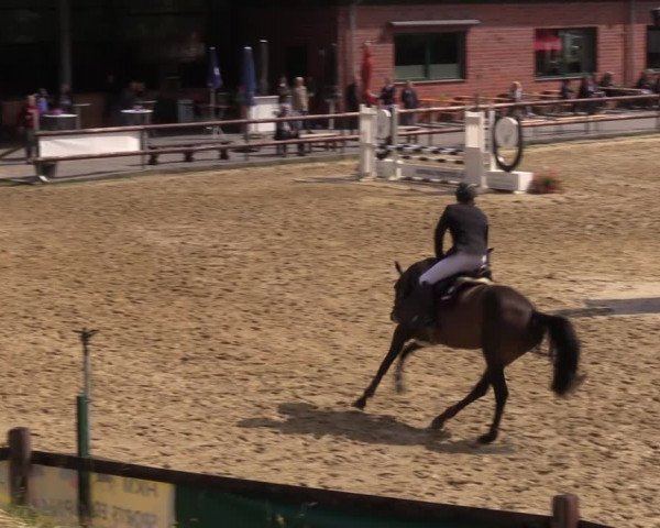 Reitturnier Reken 2022