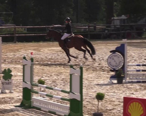 Reitturnier Reken 2022