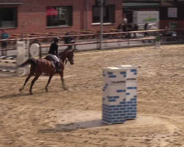 Reitturnier Reken 2022