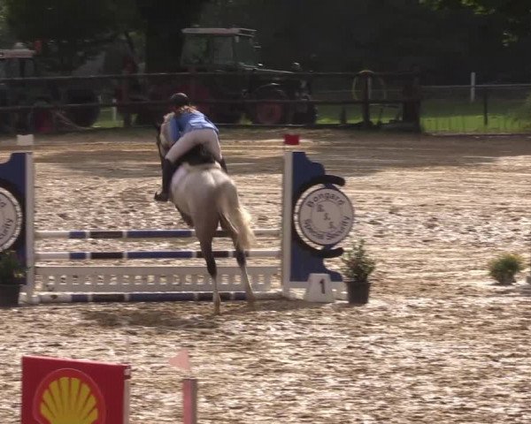 Reitturnier Reken 2022