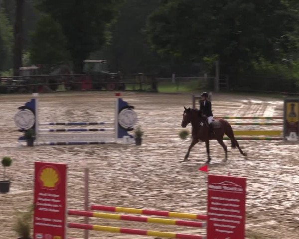 Reitturnier Reken 2022