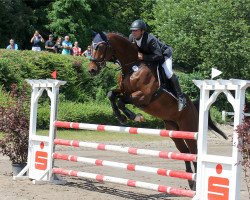 jumper Laredo 213 (Oldenburg, 2009, from Blue Hors Leredo)