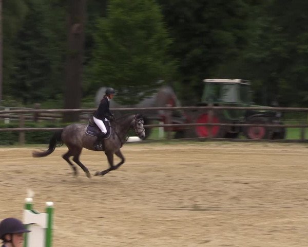 Reitturnier Reken 2022