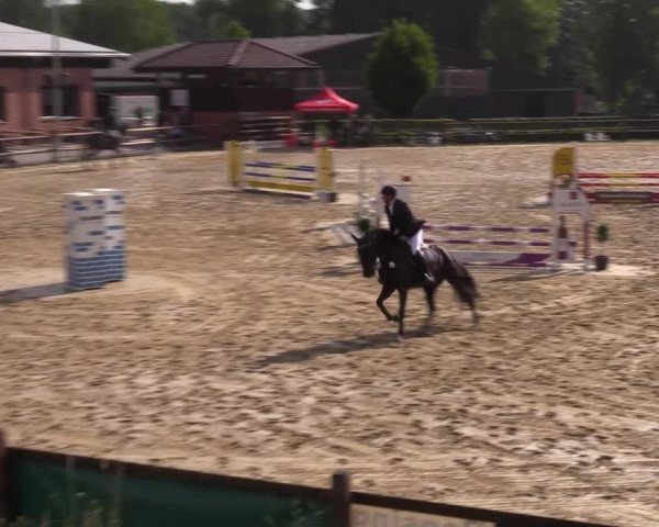 Reitturnier Reken 2022