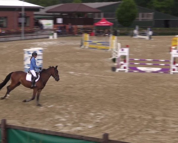 Reitturnier Reken 2022