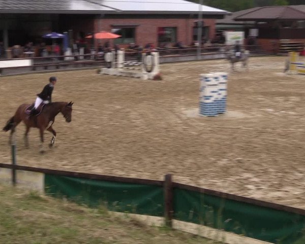 Reitturnier Reken 2022