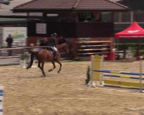 Reitturnier Reken 2022