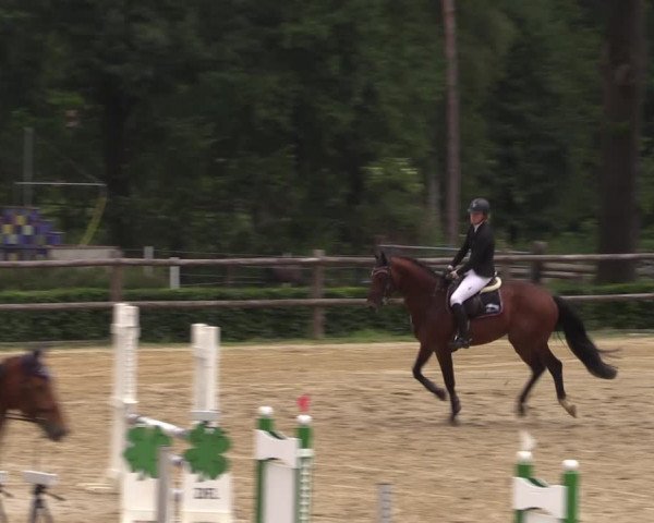 Reitturnier Reken 2022