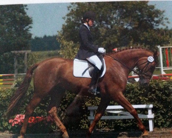 broodmare Hera (Oldenburg, 1997, from Westminster)