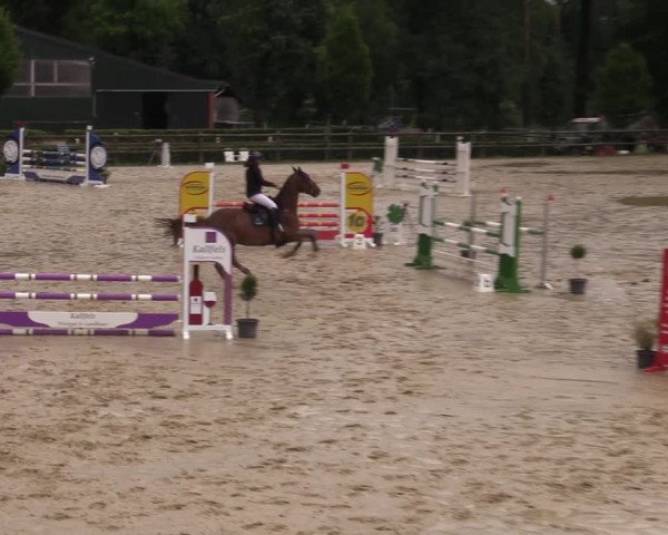 Reitturnier Reken 2022