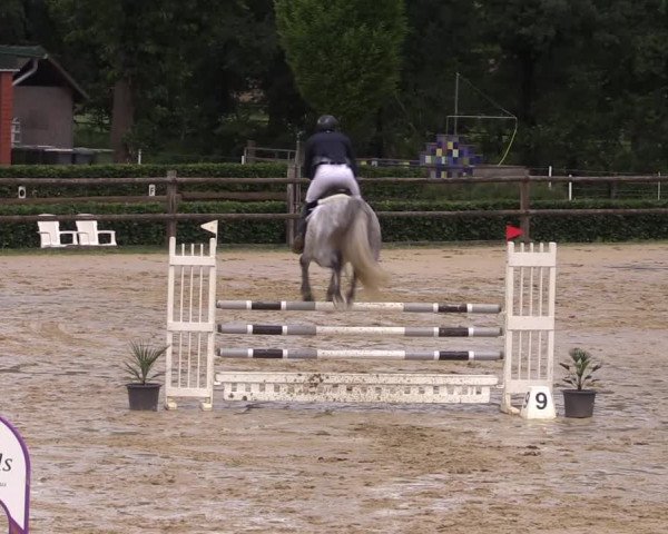 Reitturnier Reken 2022