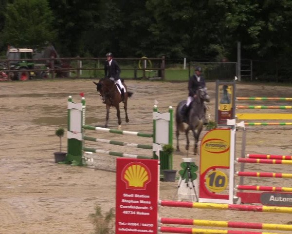 Reitturnier Reken 2022