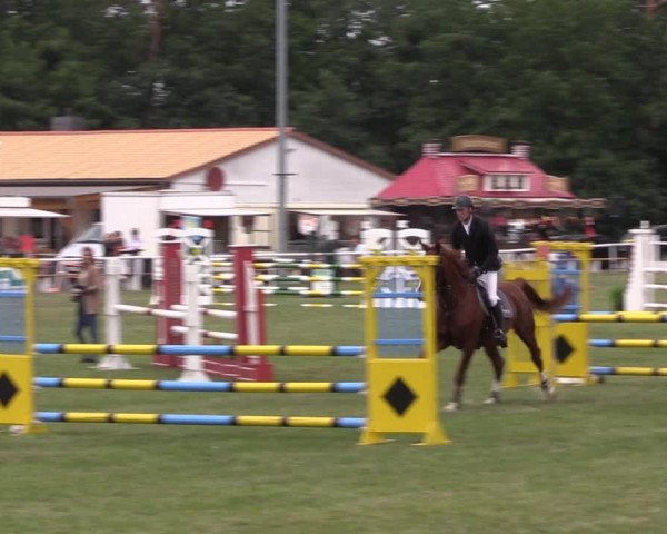 Reitturnier Wörmlitz 2022
