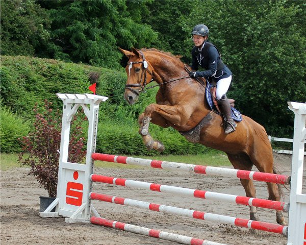 broodmare Lubiljana (Württemberger, 2009, from Leviathan)