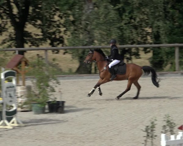 Reitturnier Erkrath - Uhlenhof 2022