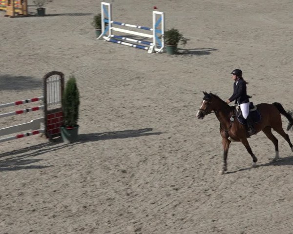 Reitturnier Erkrath - Uhlenhof 2022