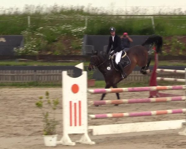 Reitturnier Schülp / Rendsburg 2022