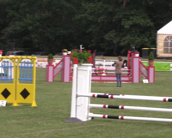 Reitturnier Wörmlitz 2022