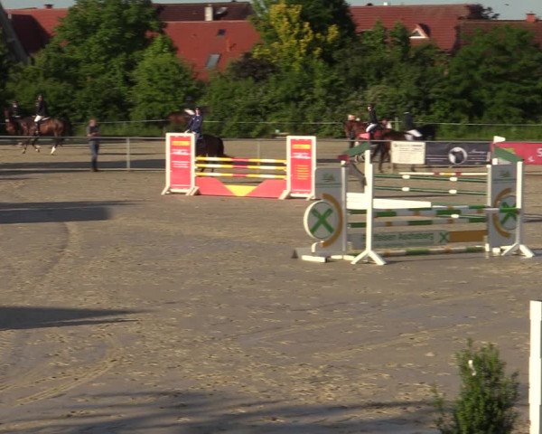 Reitturnier Ascheberg 2022