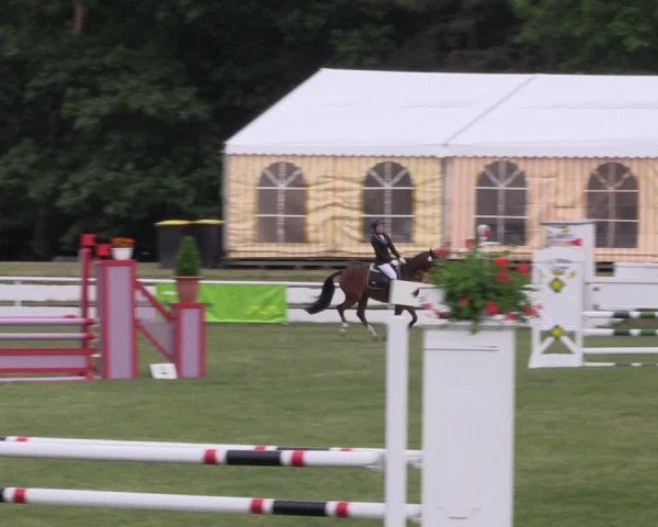 Reitturnier Wörmlitz 2022