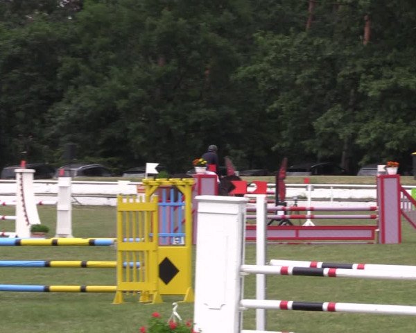 Reitturnier Wörmlitz 2022