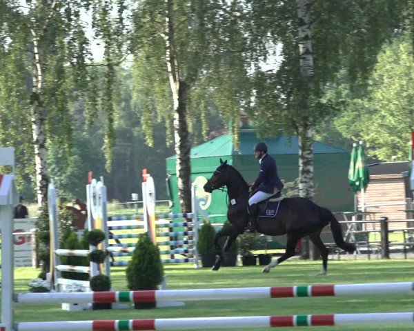 Reitturnier Hille 2022