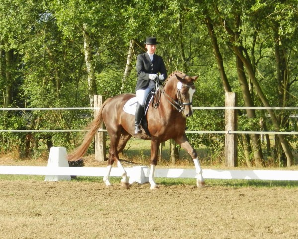 dressage horse Fazzino (Westphalian, 2002, from Florestan I)