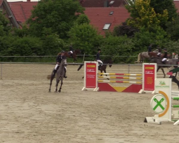 Reitturnier Ascheberg 2022