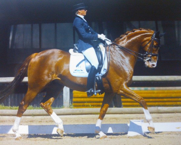 dressage horse Leporello 53 (Oldenburg, 2005, from Laurentio)