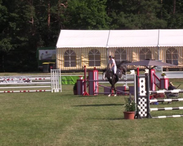 Reitturnier Wörmlitz 2022