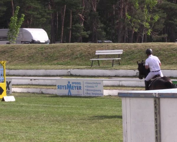 Reitturnier Wörmlitz 2022