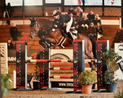 jumper Cent a Rouet PS (Mecklenburg, 2014, from Centadel)
