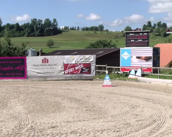 Reitturnier Ruswil 2022