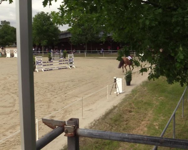 Reitturnier Ascheberg 2022