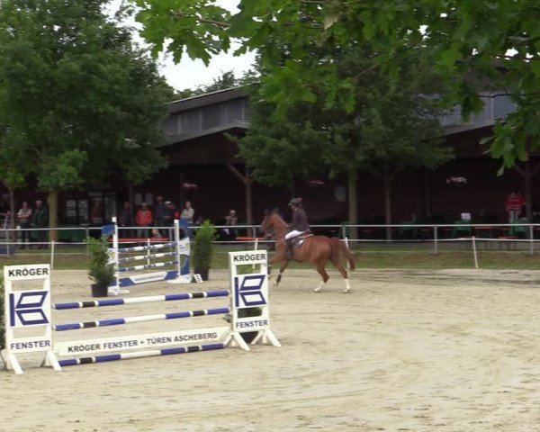 Reitturnier Ascheberg 2022