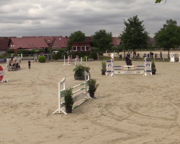 Reitturnier Ascheberg 2022