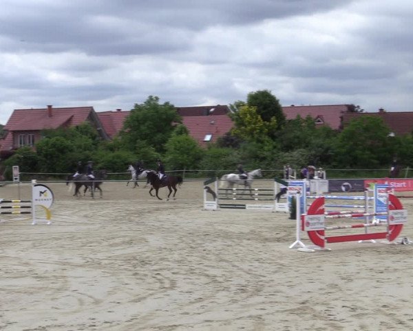 Reitturnier Ascheberg 2022