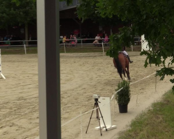 Reitturnier Ascheberg 2022
