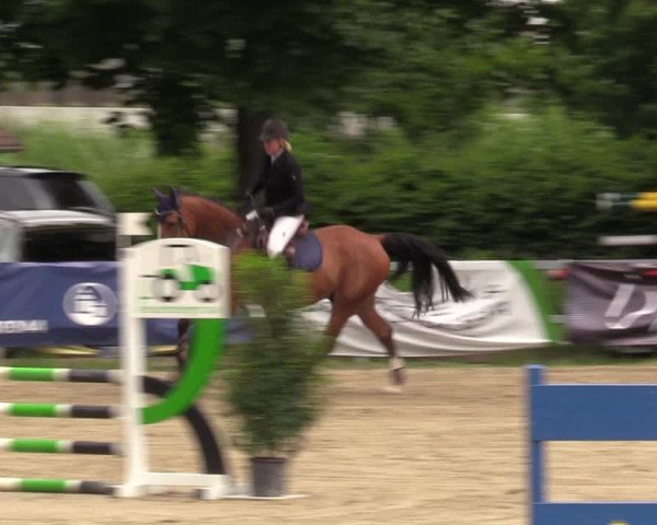 Reitturnier Letmathe 2022